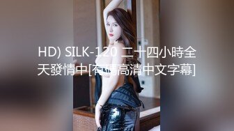 HD) SILK-120 二十四小時全天發情中[有碼高清中文字幕]