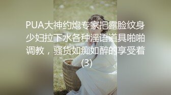 PUA大神约炮专家把露脸纹身少妇拉下水各种淫语道具啪啪调教，骚货如痴如醉的享受着 (3)