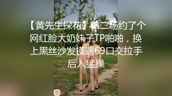 【黄先生探花】第二场约了个网红脸大奶妹子TP啪啪，换上黑丝沙发摸逼69口交拉手后入猛操