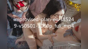 improvised-plan-en-s85249-v50501-1080p_full_mp4