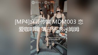 [MP4]麻豆传媒 MDM003 恋爱咖啡馆 第三杯 玄米姆姆