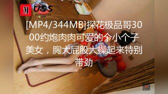 [MP4/344MB]探花极品哥3000约炮肉肉可爱的个小个子美女，胸大屁股大操起来特别带劲