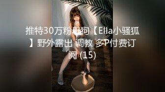 推特30万粉母狗【Ella小骚狐】野外露出 调教 多P付费订阅 (15)