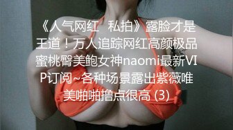 《顶级女模震撼泄密》颜值巅峰秀人网女神模特【鹿依】私拍视图流出，道具紫薇援交金主又舔又抠啪啪 (9)