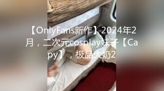 【OnlyFans新作】2024年2月，二次元cosplay妹子【Capy】，极品大奶2