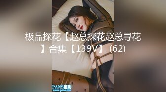 极品探花【赵总探花赵总寻花】合集【139V】 (62)