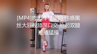 [MP4]肉肉身材少妇 性感黑丝大屁股舔屌口交 抬起双腿抽插猛操