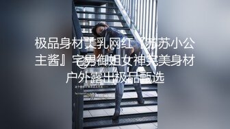 极品身材美乳网红『苏苏小公主酱』宅男御姐女神完美身材户外露出极品甄选