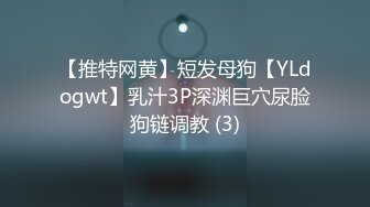 【推特网黄】短发母狗【YLdogwt】乳汁3P深渊巨穴尿脸狗链调教 (3)