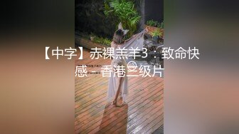 【中字】赤裸羔羊3：致命快感－香港三级片