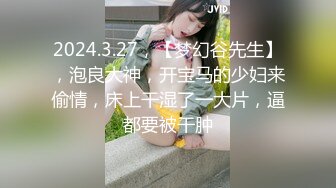 2024.3.27，【梦幻谷先生】，泡良大神，开宝马的少妇来偷情，床上干湿了一大片，逼都要被干肿