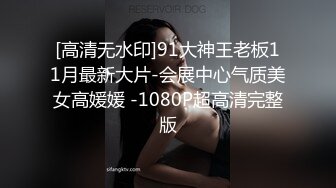 [高清无水印]91大神王老板11月最新大片-会展中心气质美女高媛媛 -1080P超高清完整版