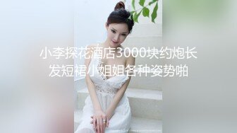 小李探花酒店3000块约炮长发短裙小姐姐各种姿势啪