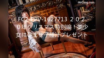 FC2-PPV-1627713 ２０２０年クリスマス特別編！美少女に孕ませ子種汁プレゼント